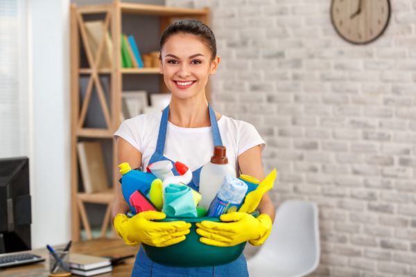 Home Cleaning Pros